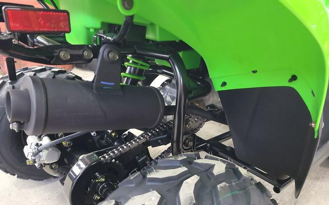 2025 Kawasaki KFX®50