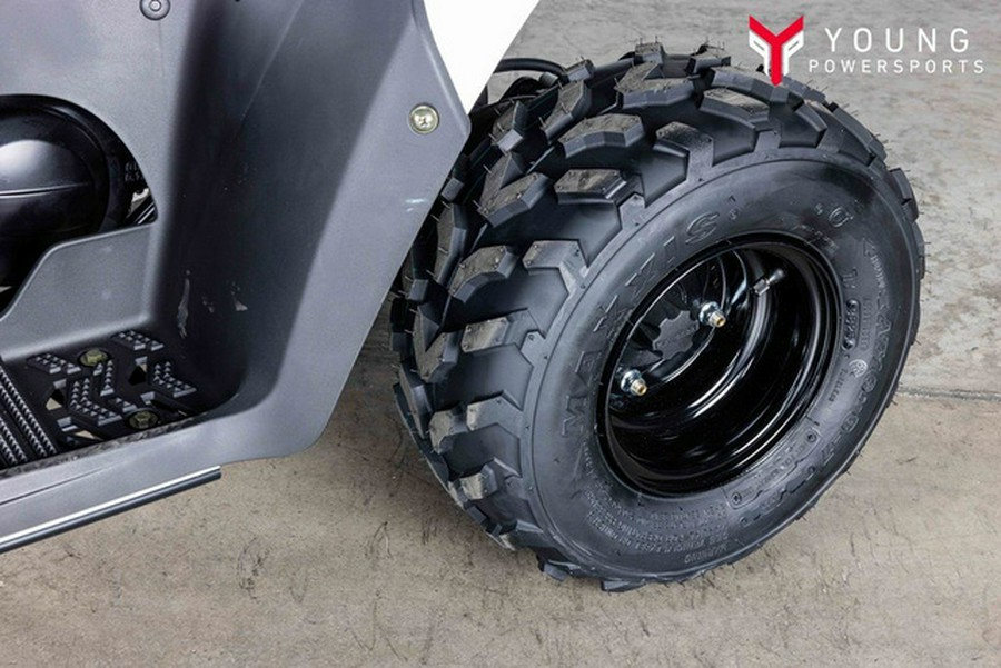 2026 Kawasaki KFX 50