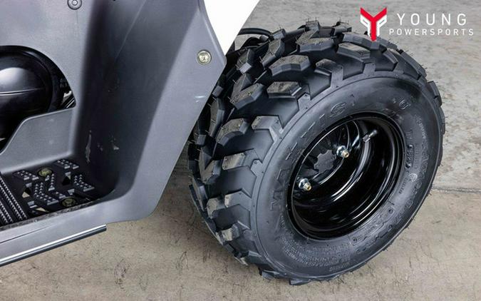 2026 Kawasaki KFX 50