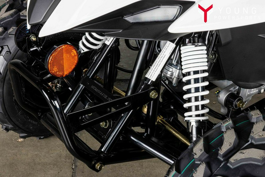 2026 Kawasaki KFX 50