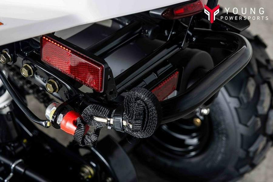 2026 Kawasaki KFX 50