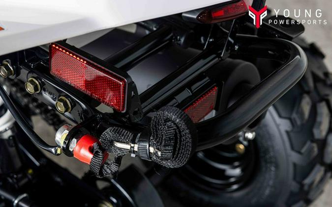 2026 Kawasaki KFX 50