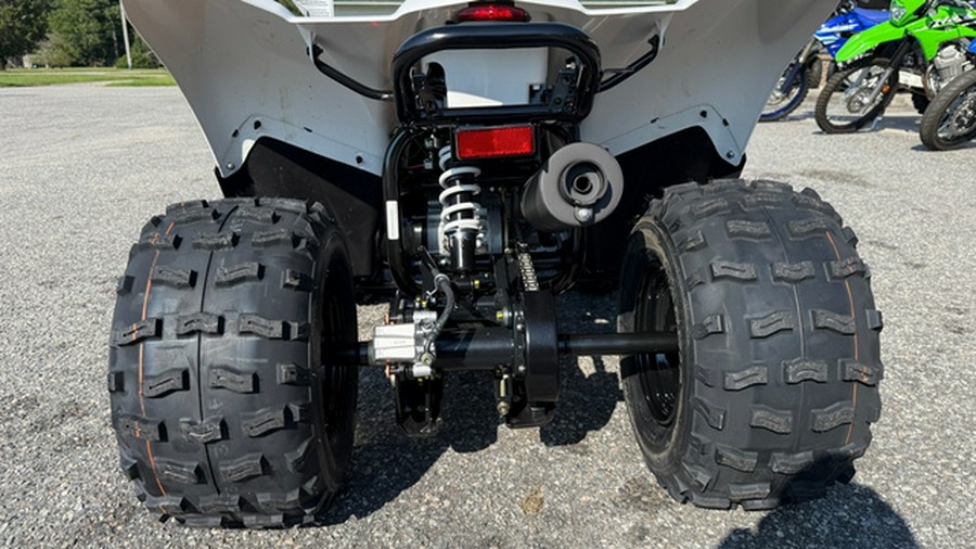 2027 Kawasaki KFX 90