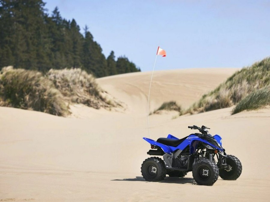 2026 Yamaha Raptor 110