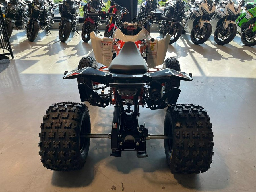 2027 Kayo STORM 300 EFI