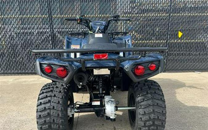 2024 Kawasaki Brute Force 300