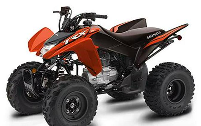 2024 Honda TRX250X