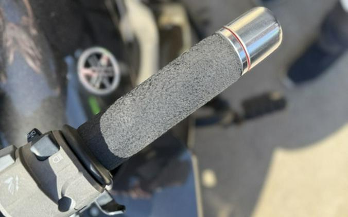 2009 Yamaha FJR 1300AE