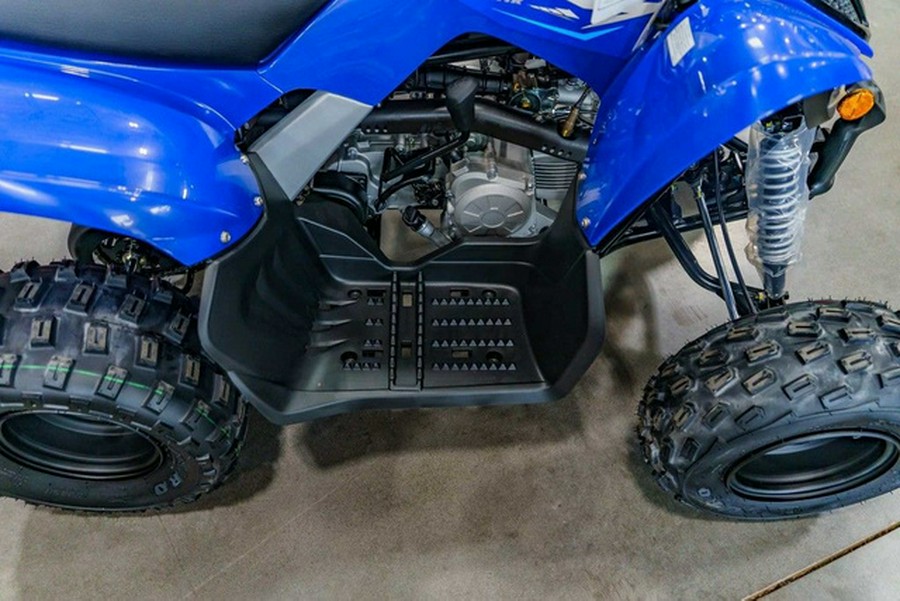 2026 Yamaha Raptor 110