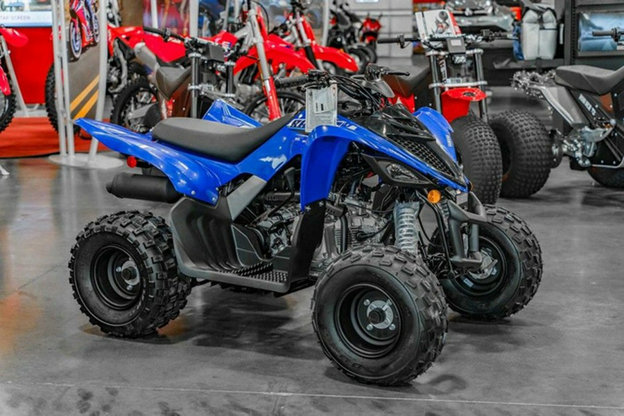 2026 Yamaha Raptor 110