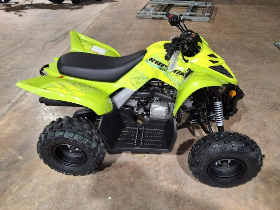 2026 Yamaha Raptor 110