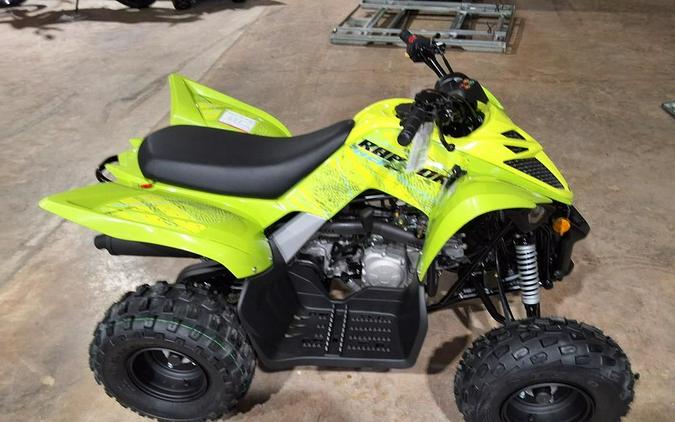 2026 Yamaha Raptor 110