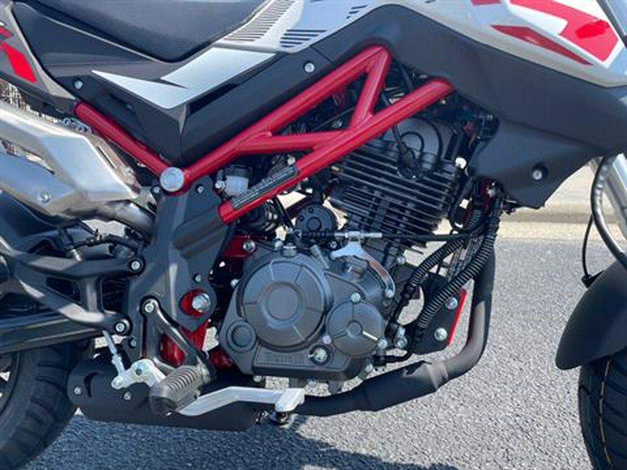 2023 Benelli TNT 135