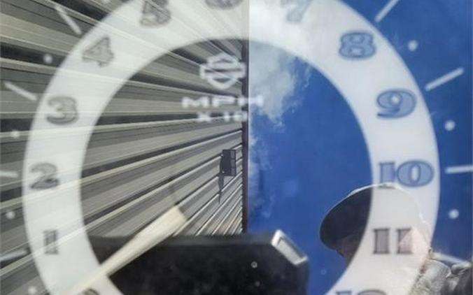 2017 Harley-Davidson® FLSTN - Softail® Deluxe