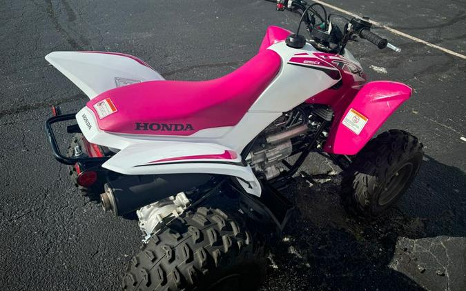 2023 Honda TRX250X