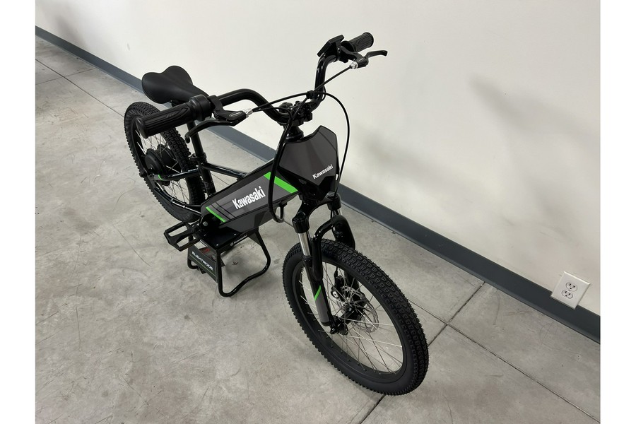 2024 Kawasaki Elektrode™20 KSK050ASFNNB