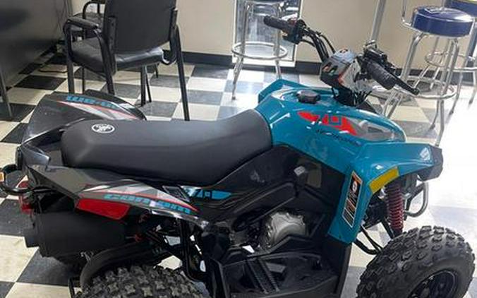 2026 Can-Am® Renegade 70 EFI