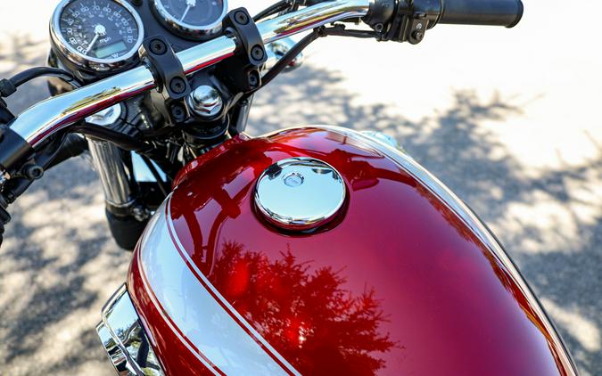 2022 KAWASAKI W800