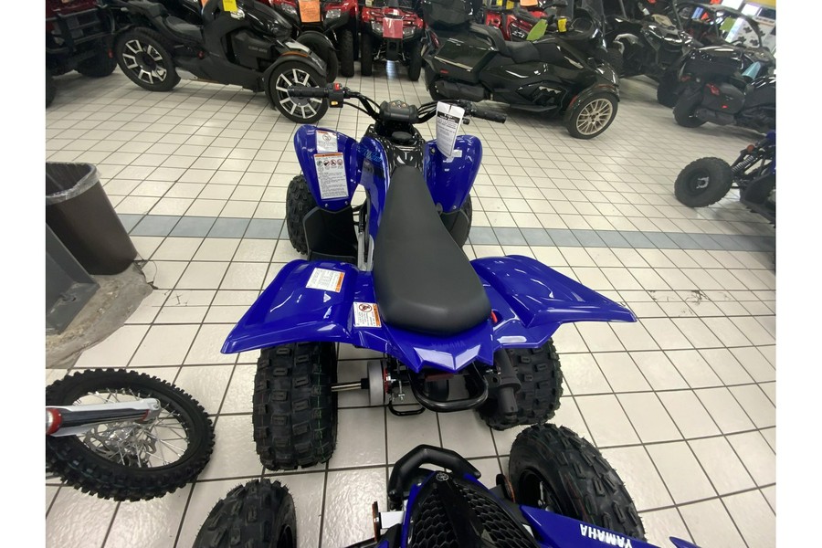 2024 Yamaha RAPTOR 110