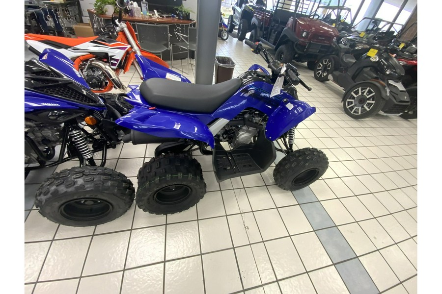 2024 Yamaha RAPTOR 110