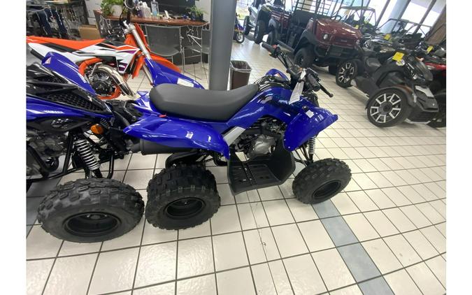 2024 Yamaha RAPTOR 110