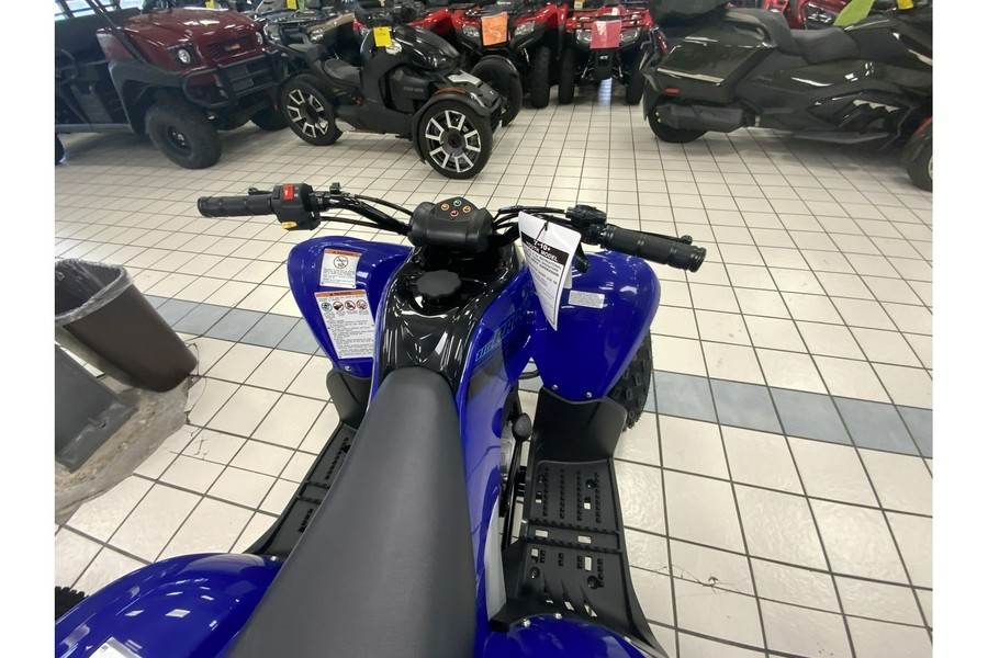 2024 Yamaha RAPTOR 110