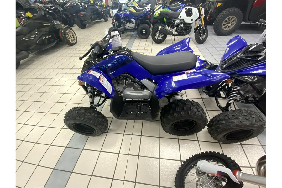 2024 Yamaha RAPTOR 110