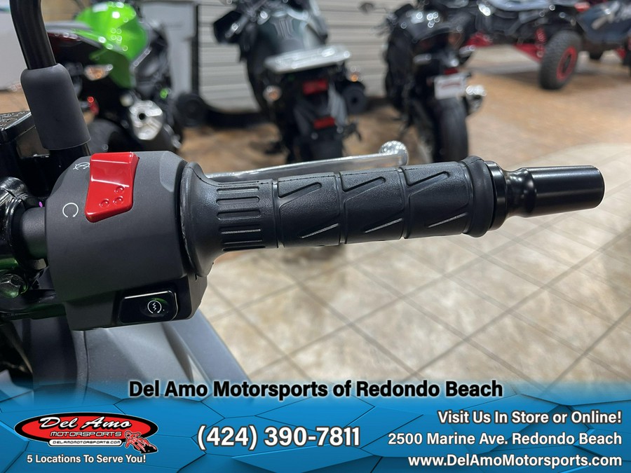 2025 Kawasaki VERSYS-X 300 ABS