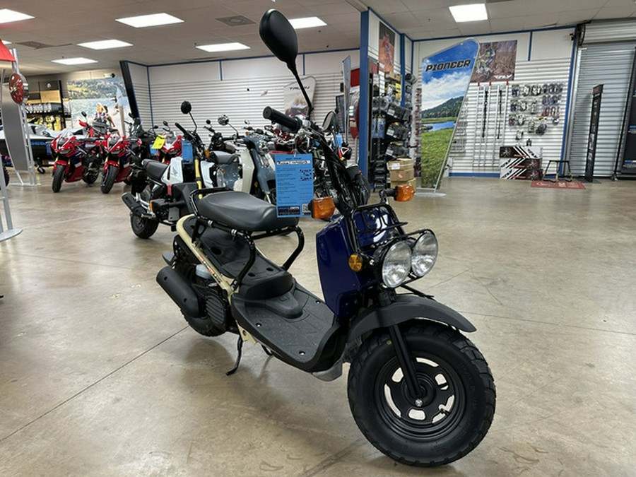 2022 Honda Ruckus