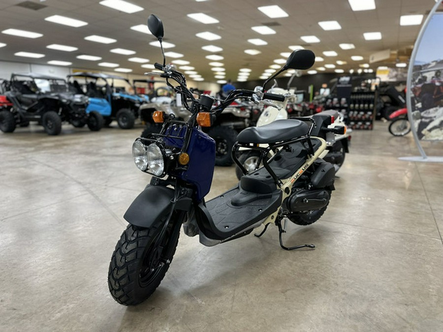 2022 Honda Ruckus