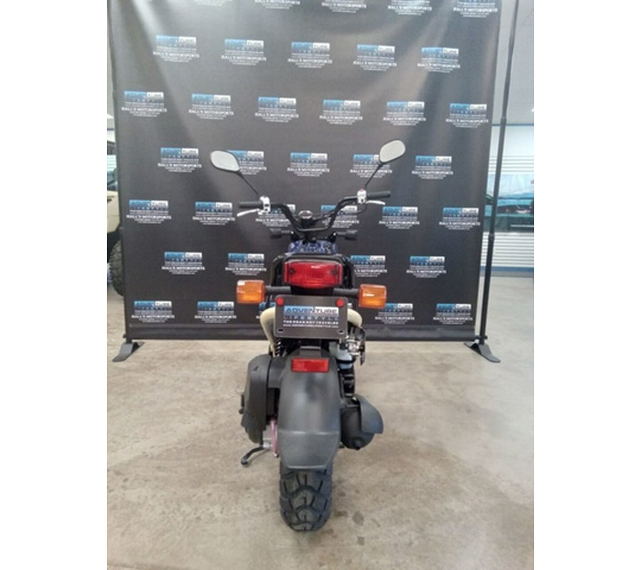 2022 Honda Ruckus