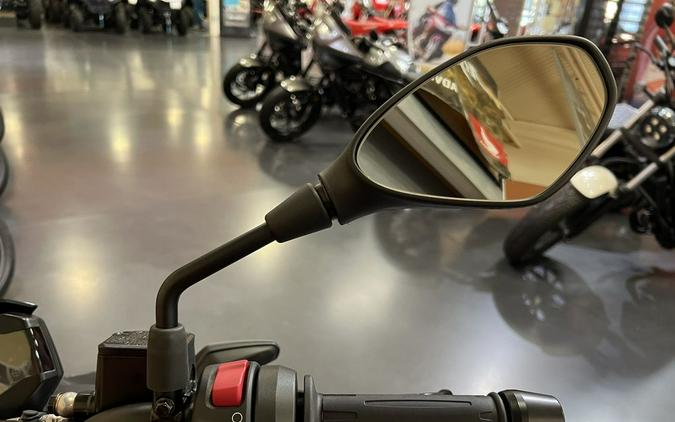 2025 BMW G 310 R Style Passion