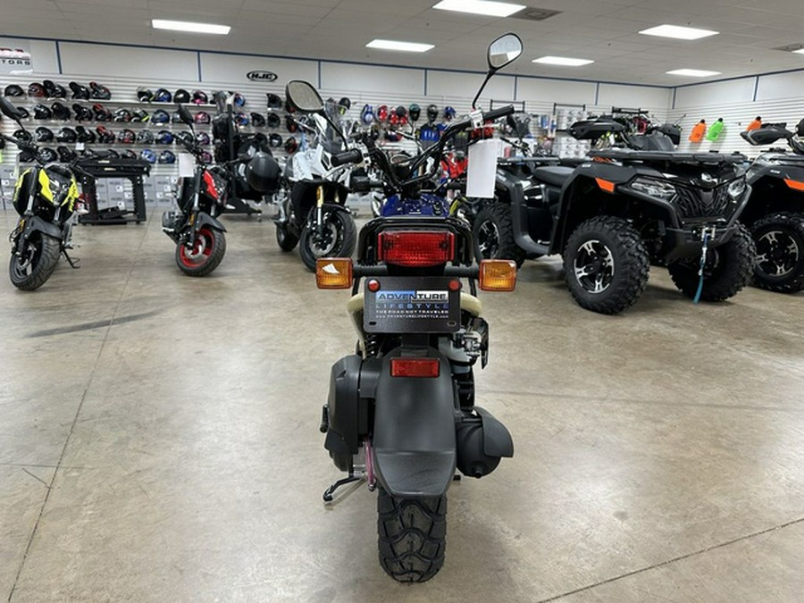 2022 Honda Ruckus