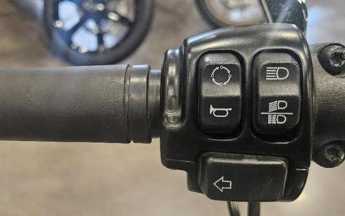 2018 Harley-Davidson® FLFBS - Softail® Fat Boy® 114