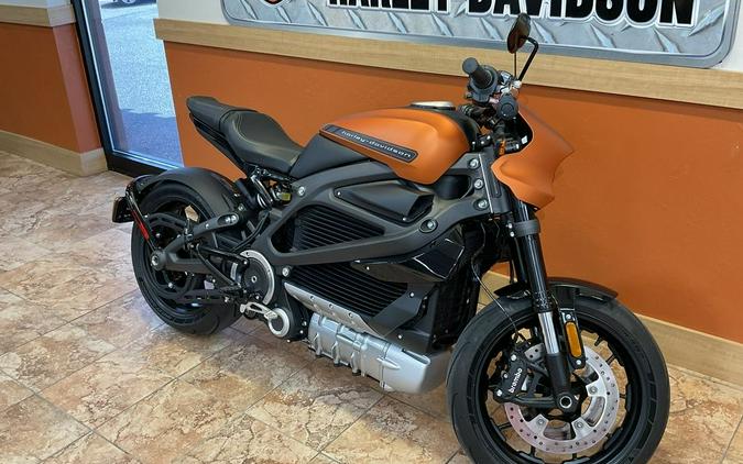 2020 Harley-Davidson® ELW - LiveWire™