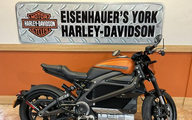 2020 Harley-Davidson LiveWire Review: 23 Fast Facts