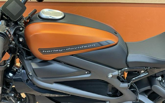 2020 Harley-Davidson® ELW - LiveWire™