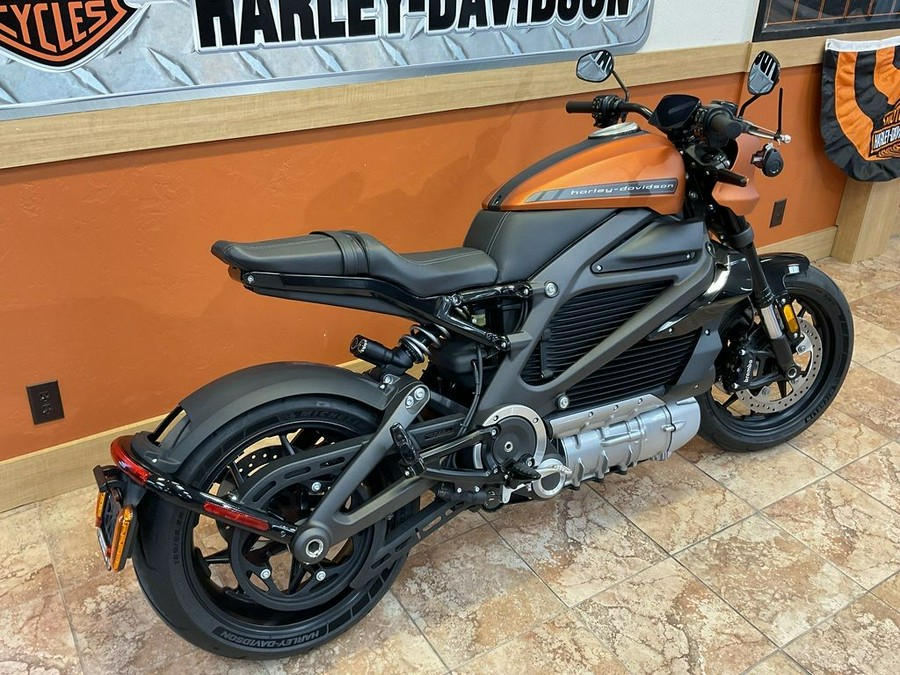 2020 Harley-Davidson® ELW - LiveWire™