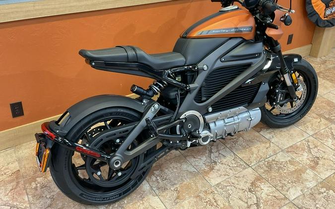 2020 Harley-Davidson® ELW - LiveWire™