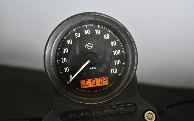 2015 Harley-Davidson Iron 883