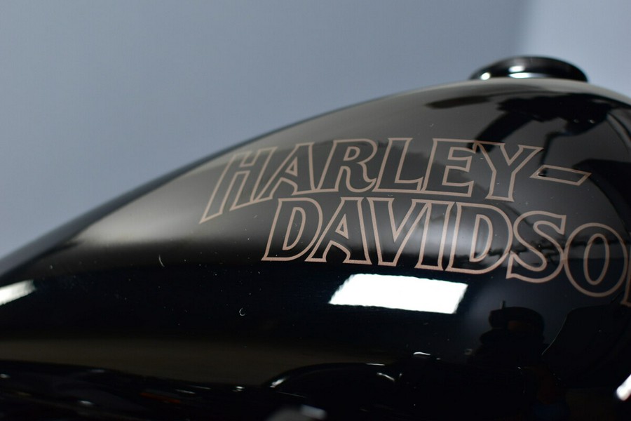 2024 Harley-Davidson Low Rider ST FXLRST