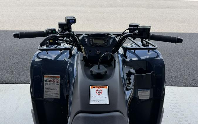 2025 Kawasaki Brute Force® 300