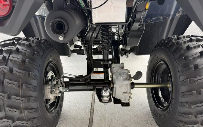 2025 Kawasaki Brute Force® 300
