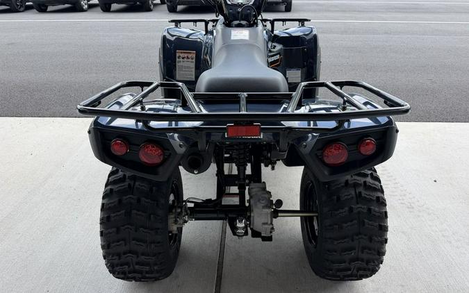 2025 Kawasaki Brute Force® 300