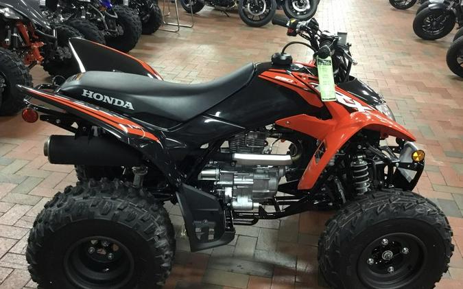 2024 Honda® TRX250X