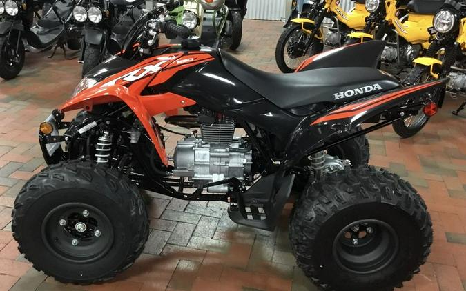 2024 Honda® TRX250X