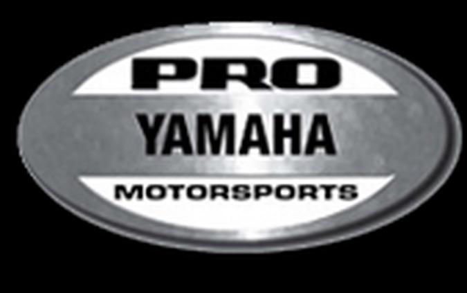 2026 Predator 125 EFI - Kayo