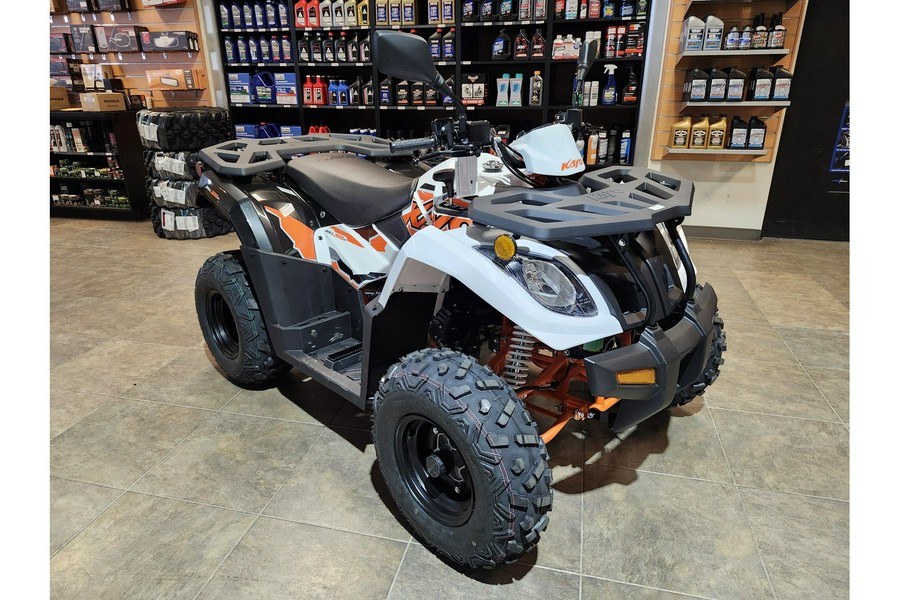 2025 Kayo Bull 300 EFI