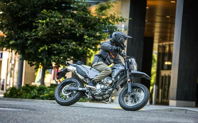 2025 Kawasaki KLX® 300SM