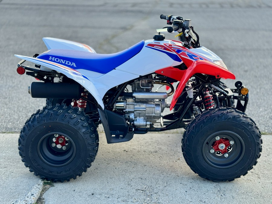 2026 Honda TRX® 250X